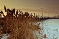 Wintery Pier Royalty Free Stock Photo