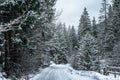 Wintery snowcovered mountain road with white snowy spruces. Travel background. Transportation
