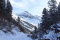 Wintery snowy path with trees and mountain in Stubai Alps mountains Royalty Free Stock Photo