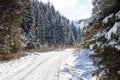 Wintery snowy path with trees in Stubai Alps mountains Royalty Free Stock Photo
