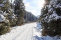Wintery snowy path with trees in Stubai Alps mountains Royalty Free Stock Photo