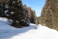 Wintery snowy path with trees in Stubai Alps mountains Royalty Free Stock Photo