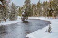 Wintery, snowy scene of pine trees and river in Yellowstone