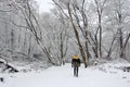 Wintery Trail around Burnaby Lake