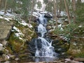 Wintery Wooded Waterfall