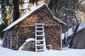 Wintery woodpile