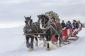 Winter fan sleigh ride with beautiful Percheron horses