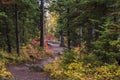 wintry autumn weather on snow capped Mt. Moran in Grand teton national Park in Wyoming Royalty Free Stock Photo