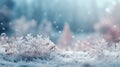 Wintry background with frosted spruce branches, snow drifts, bokeh christmas lights, and text space