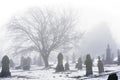 Wintry Cemetery In Shrouded in Fog