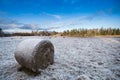 Wintry field with haystack roll