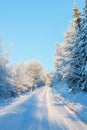 Wintry forest road with snow and frost Royalty Free Stock Photo