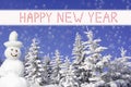 Wintry forest and smiling snowman, happy new year text