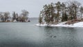 Wintry islands and single cottage with ducks in the foreground Royalty Free Stock Photo