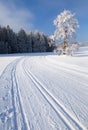 Wintry landscape with modified cross country skiing way Royalty Free Stock Photo