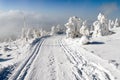 Wintry landscape with modified cross country skiing way Royalty Free Stock Photo