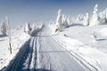 Wintry landscape with modified cross country skiing way Royalty Free Stock Photo