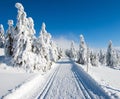 Wintry landscape with modified cross country skiing way Royalty Free Stock Photo