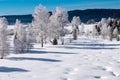 Wintry Landscape In Saint-Laurent-en-Grandvaux Royalty Free Stock Photo