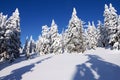 Wintry landscape scenery Royalty Free Stock Photo