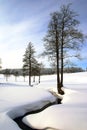 Wintry landscape scenery Royalty Free Stock Photo