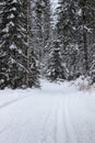 Wintry landscape scenery with modified cross country skiing way Royalty Free Stock Photo