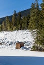 wintry landscape scenery with modified cross country skiing way in evergreen forest British Columbia Canada Royalty Free Stock Photo