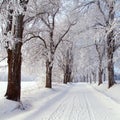 Wintry landscape scenery with road way and alley Royalty Free Stock Photo
