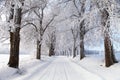 Wintry landscape scenery with road way and alley vista