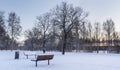 Wintry park Royalty Free Stock Photo