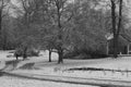 A Meandering Walk and Snow-covered Tree in aÂ Wintry BritishÂ Public Park. Royalty Free Stock Photo