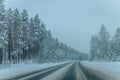 Wintry Path Through a Chilly Forest with Snow Covered Trees. Winter road through snowy forest Royalty Free Stock Photo