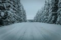 Wintry Path Through a Chilly Forest with Snow Covered Trees. Winter road through snowy forest Royalty Free Stock Photo