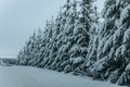 Wintry Path Through a Chilly Forest with Snow Covered Trees. Winter road through snowy forest Royalty Free Stock Photo