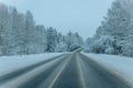 Wintry Path Through a Chilly Forest with Snow Covered Trees. Winter road through snowy forest Royalty Free Stock Photo