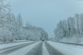 Wintry Path Through a Chilly Forest with Snow Covered Trees. Winter road through snowy forest Royalty Free Stock Photo