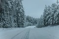 Wintry Path Through a Chilly Forest with Snow Covered Trees. Winter road through snowy forest Royalty Free Stock Photo