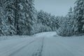 Wintry Path Through a Chilly Forest with Snow Covered Trees. Winter road through snowy forest Royalty Free Stock Photo