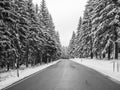 Wintry road through the forest Royalty Free Stock Photo
