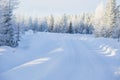 Wintry road lined with snow covered trees Royalty Free Stock Photo