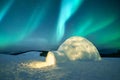 Wintry scene with glowing polar lights and snowy igloo Royalty Free Stock Photo