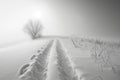 Wintry Solitude on a Snow-Covered Pier. A solitary figure walks on a snow-covered pier leading into a misty, tranquil lake