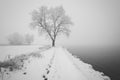 Wintry Solitude on a Snow-Covered Pier. A solitary figure walks on a snow-covered pier leading into a misty, tranquil lake