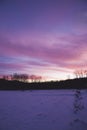 Wintry Sunset with Pink and Purple Skies Royalty Free Stock Photo