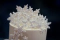 Wintry Wedding Cake Top Royalty Free Stock Photo