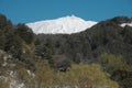 Wintry woods and Etna Mount from Fiera Plateau