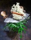 Wire basket with old chopping knife