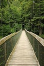 Wire bridge Royalty Free Stock Photo