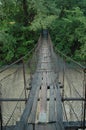 Wire bridge