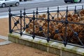 wire circular benches park furniture in winter. sintered gravel with Royalty Free Stock Photo